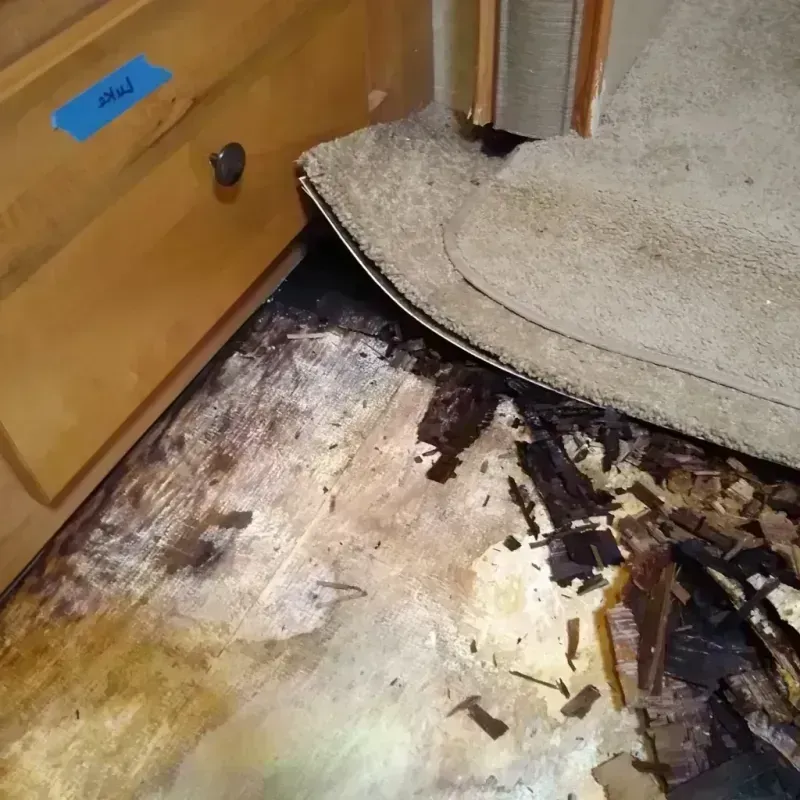 Wood Floor Water Damage in Greene County, IA